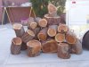 Wood Pile-2 (600 x 450).jpg