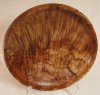 688-1 spalted lace maple burl.JPG