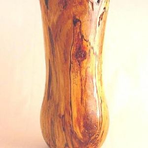 Spalted Poplar Vase #2