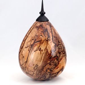 Spalted Maple Hollow Form with Ebony