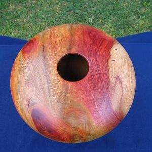 spalted vessel in blood wood