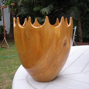 Olive wood vase  9x10"