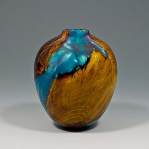 Osage_Orange_and_resin_vessel_view_2