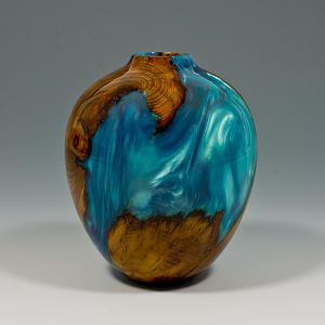 Osage_Orange_and_resin_vessel_view_3