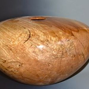 Gone Spalted