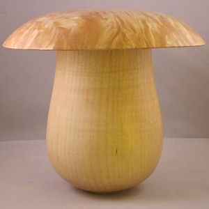 Mushroom box