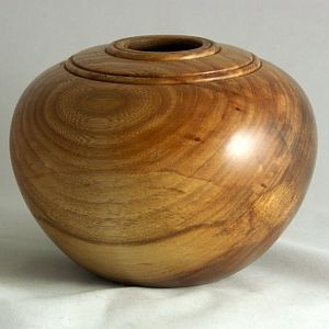 Red Elm Hollow Form