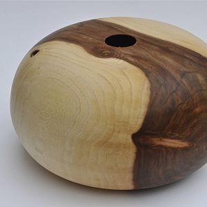 elm vessel pompkin shape