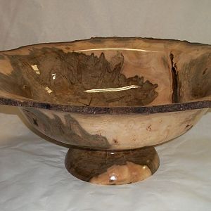 Ambrosia Maple stump bowl #514