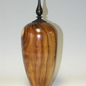 Sisso Dalibergia {rosewood} hollow form