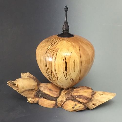 Spalted Beech and pine