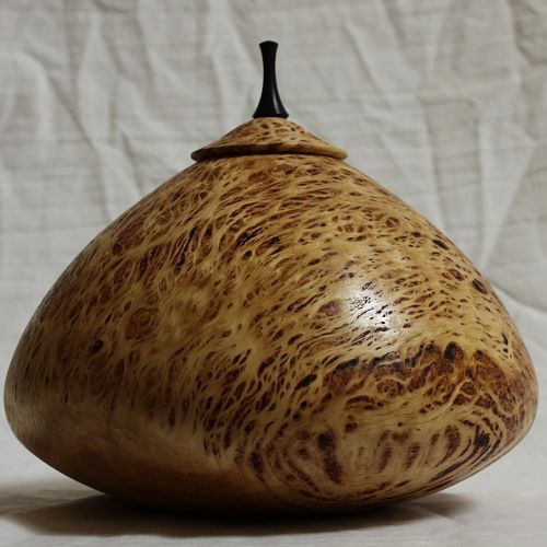 White cedar burl vessel