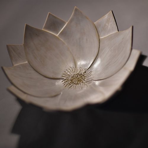 Inspirations from a white lotus