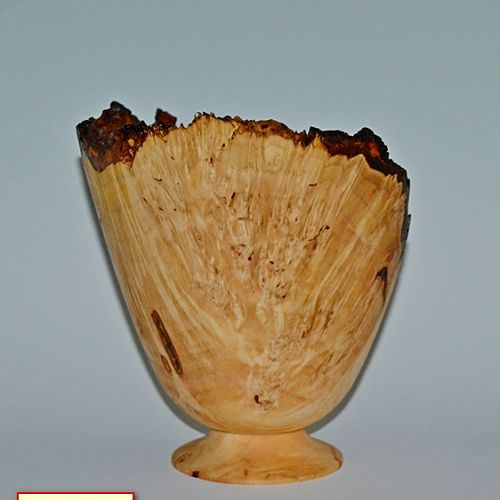 Red Maple Burl Vase
