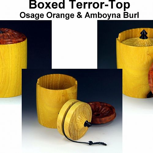 Boxed Terror Top