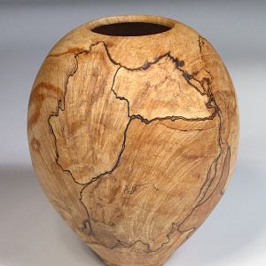 Spalted Maple HF