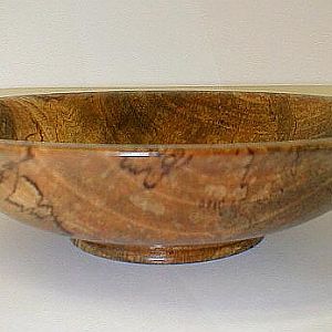 Ogee Bowl - Spalted Mahogany