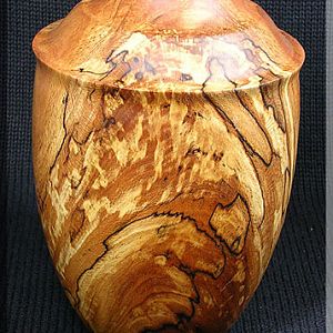 Spalted American Sycamore Crotch Hollow Form