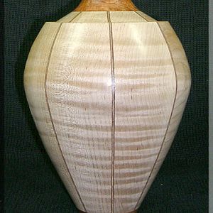 CURLY Maple Hollow Form