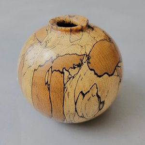 Spalted Maple Hollow form