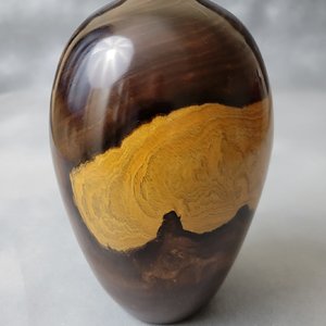 Desert Ironwood Vase II