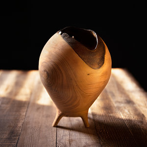Hollowed sycamore vessel