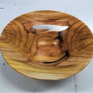 Spalted Mulberry