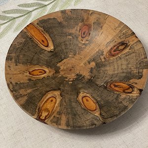 Norfolk Island Pine dish