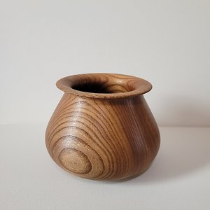 American Elm Pot/Dry Vase