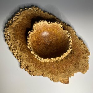 Brown Mallee Burl Bowl and Platter