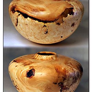 Box Elder Burl Hollow Form