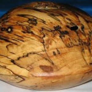 spalted pecan