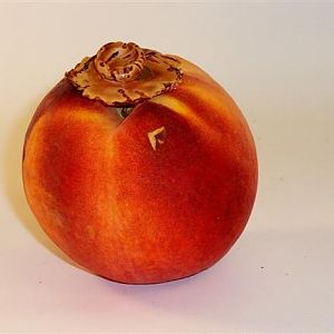 peach seed bowl