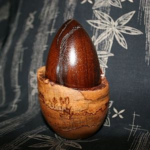 Pheasant Wood Egg and Milo Nest