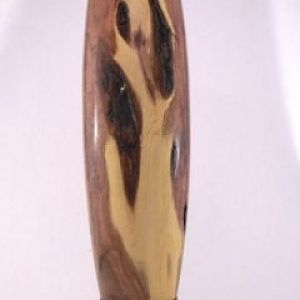 mesquite hollow form but back view of previous pic