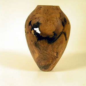 Oak Burl Hollow Form