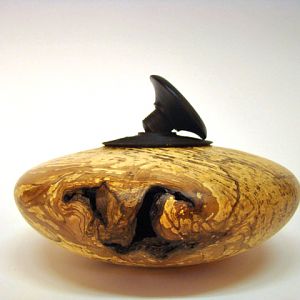 Spalted Ash hollow form with screw lid