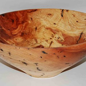 Spalted Hickory - 2nd view
