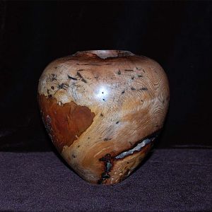Spalted Hickory Vase complete