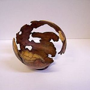 Mesquite mistletoe burl hollow form
