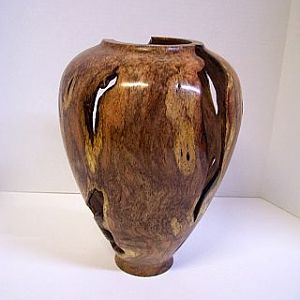 mesquite mistletoe burl, hollow vessel with voids