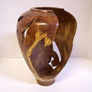mesquite mistletoe burl hollow vessel with voids