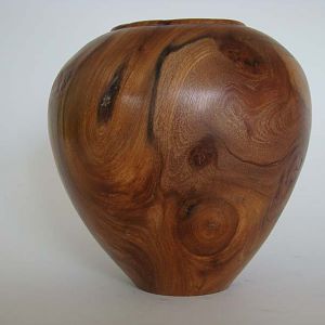 Which Elm hollow form.