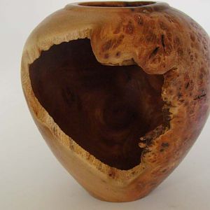 Which Elm hollow form.