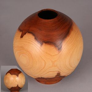 Sphere, Chinese Elm