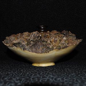 A Clump of Bark Lidded Vase