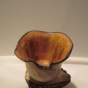 Spalted Maple Bowl 2nd view