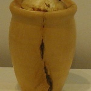 Box elder vase with walnut handled top