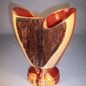Cedar Double Vase
