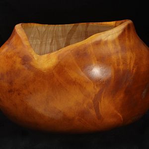 Dyed Maple Hollow Form